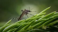 Genitori attenti scelgono il repellente sicuro che protegge davvero i bambini