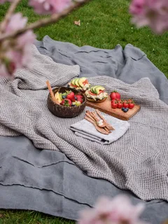 Cibo cotto pronto su area picnic all'aperto