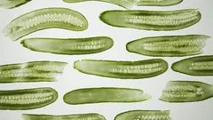 Il cetriolo rinnova la tua pelle con effetti visibili già dalla prima applicazione