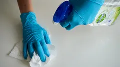 Chi si dedica alle pulizie scopre perché l'umidità nasconde gli scarafaggi