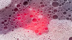 Il mistero della schiuma nella birra svelato: curiosità e differenze